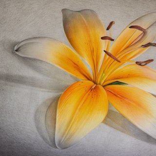 Flower Paper Artwork: "Flower" - 50 x 80 cm - Pastels on paper
