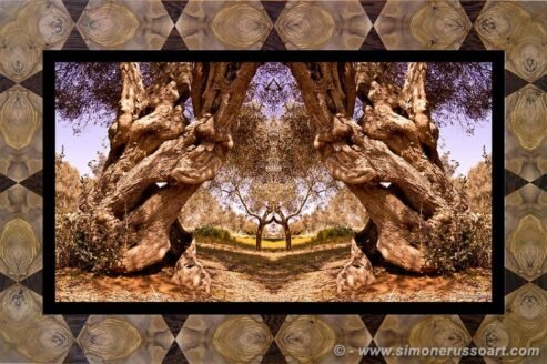 Photographic Art and Design of Olive Wood