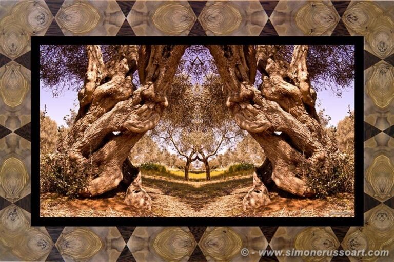 Photographic Art and Design of Olive Wood