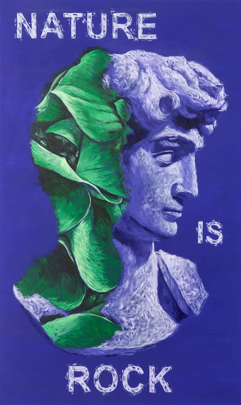 David Nature Rock – 1500